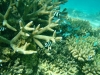 ningaloo3